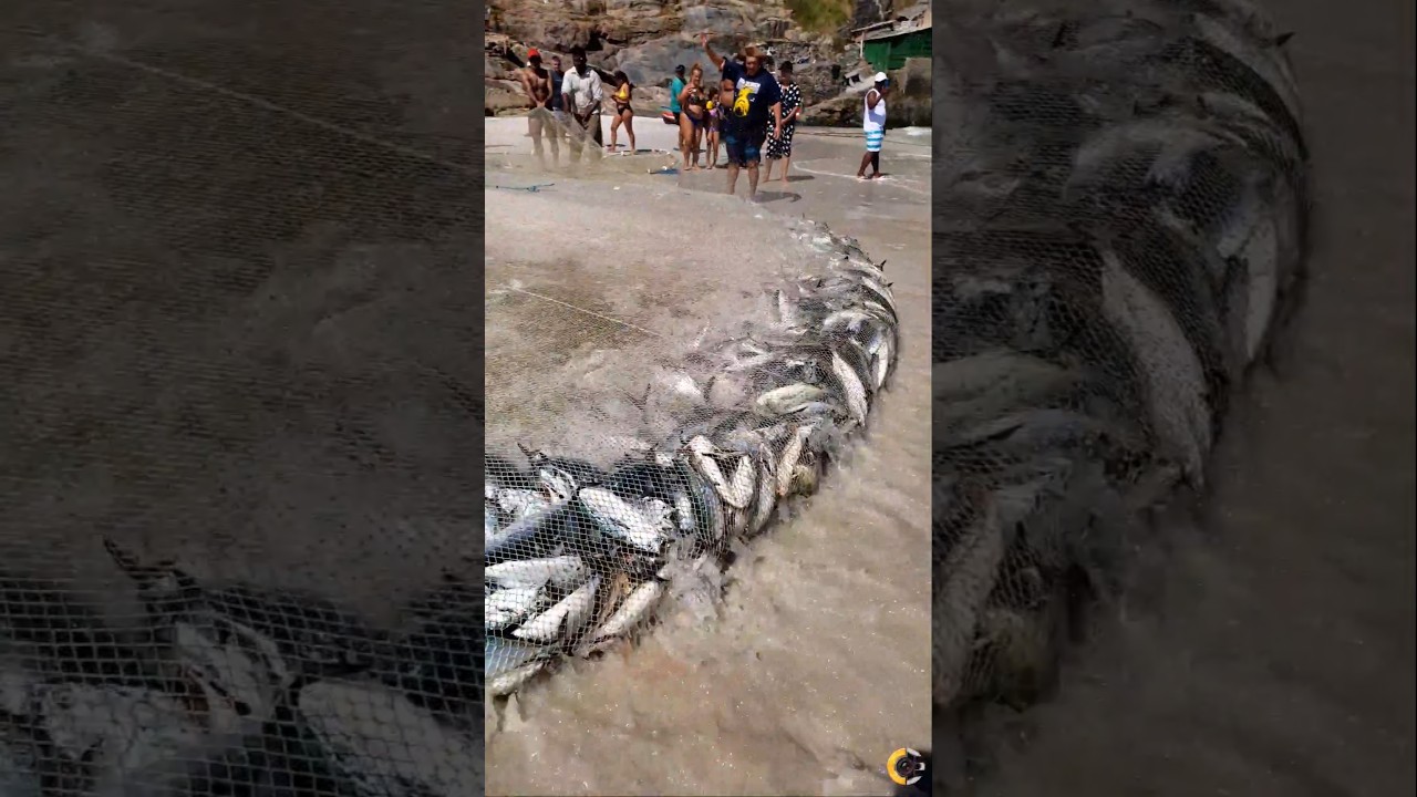 Pesca Na PRAIA GRANDE EM ARRAIAL DO CABO RJ BRASIL 🇧🇷 #shorts