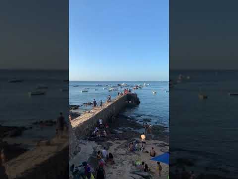 Praia do forte salvador/Bahia #destinodeferias #turismo #salvadorbahiabrasil #ferias #ferias