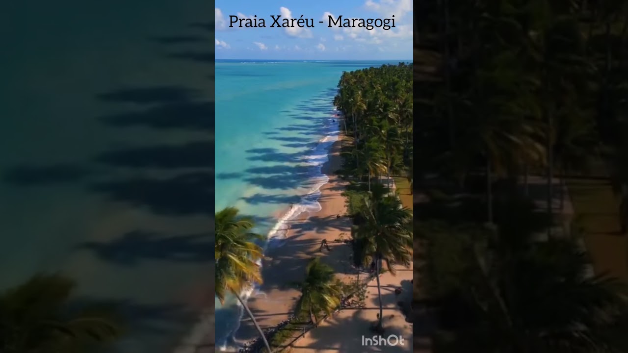 #maceio #alagoas #turismo #ferias #praia #nordeste #reels #tiktok #viagem #youtubeshorts  #sp #live