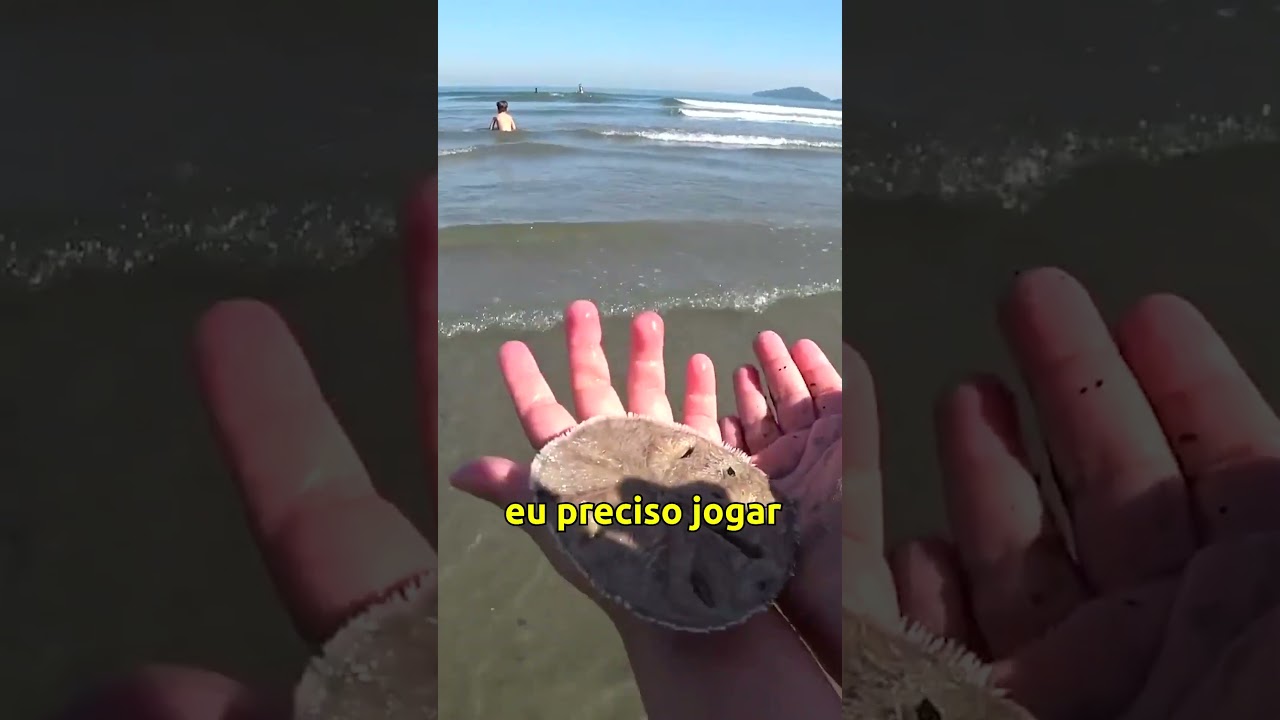 LAURA ACHOU UMA ESTRELA NA PRAIA – Família Brancoala #Shorts