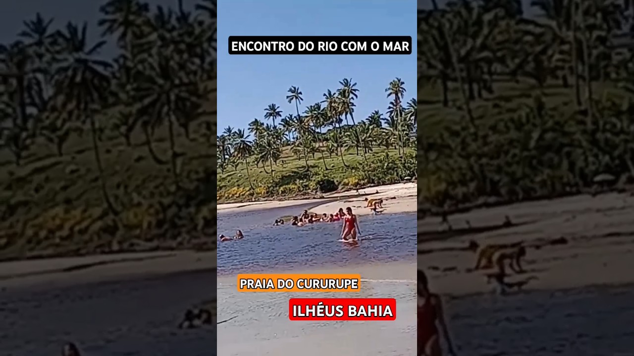 ESTUÁRIO DE CURURUPE ILHÉUS BA #praia #ilhéus #litoral #bahia #nordeste #ferias #vibe #mar #rio