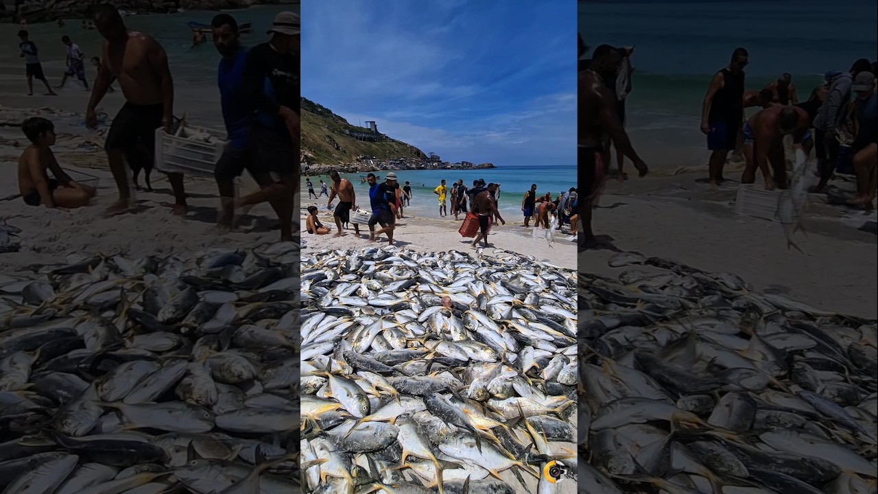 💥 EXPLODIU DE FAQUECO NA PRAIA GRANDE! 🦀🔥🌊🇧🇷 #shorts